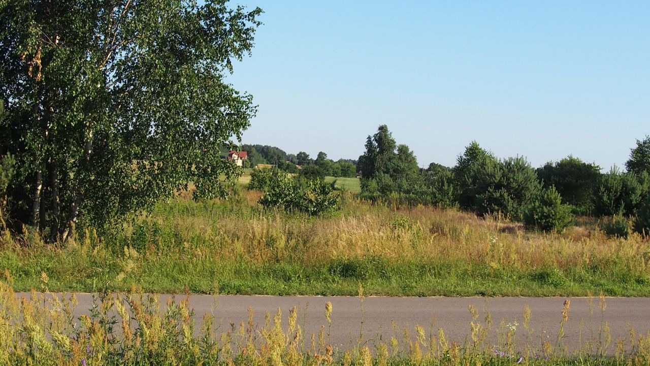 Działka siedliskowa Czołna Kolonia Czołna. Zdjęcie 2