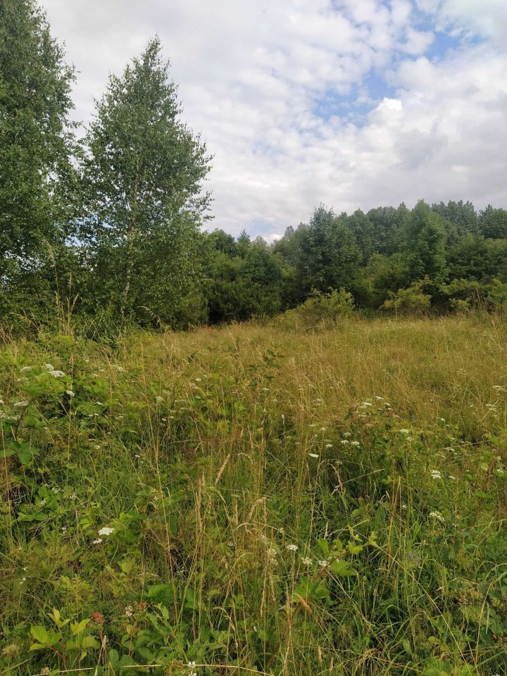 Działka rolno-budowlana Zawoja. Zdjęcie 5