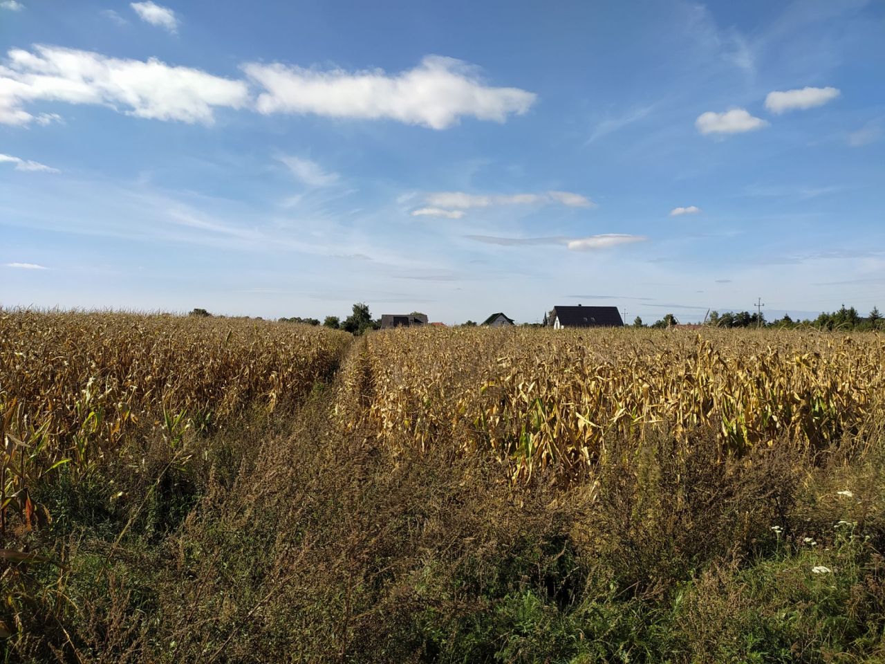 Działka inwestycyjna Wojnowice, ul. Akacjowa. Zdjęcie 16