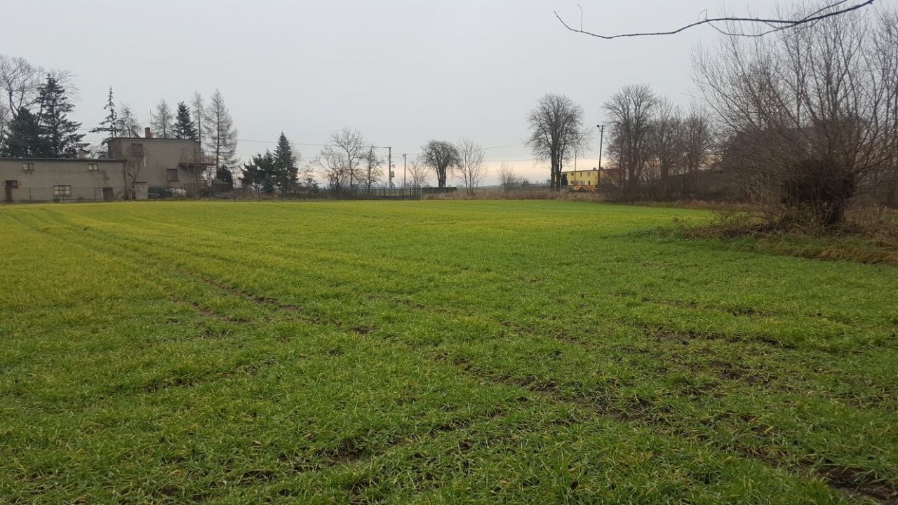 Działka budowlana Żydowo. Zdjęcie 3