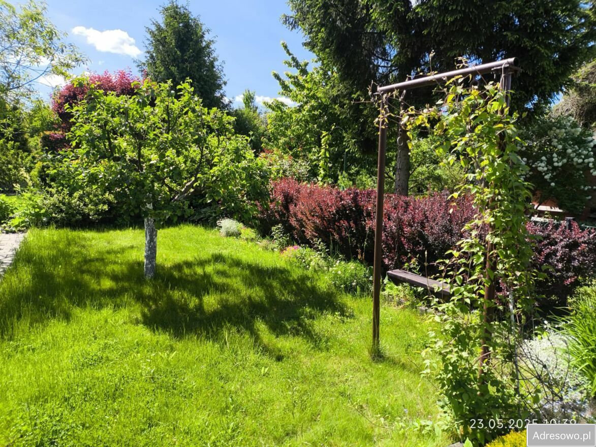 Działka rod Konin, ul. Staromorzysławska. Zdjęcie 4