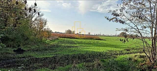 Działka budowlana Mnichowice. Zdjęcie 3