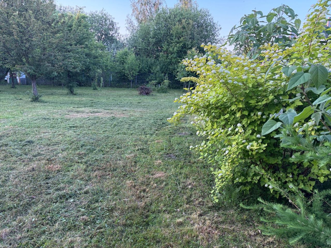 Działka budowlana Mędłów, ul. Czereśniowa. Zdjęcie 17