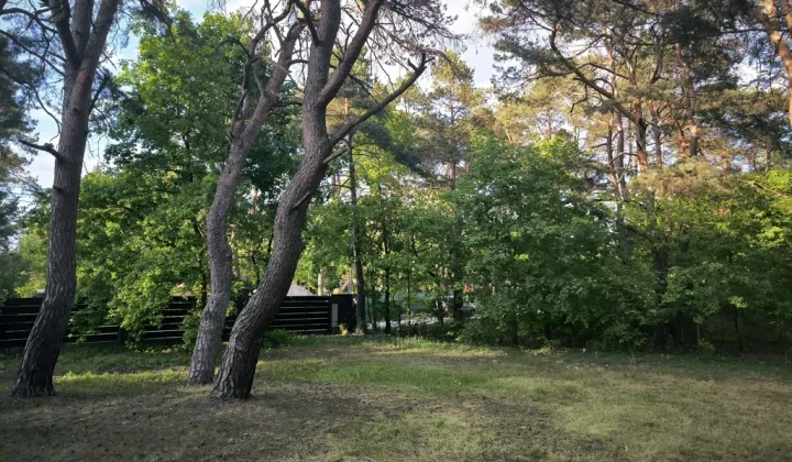 Działka budowlana Józefów, ul. Skrajna