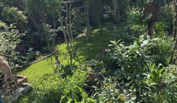 Działka rod Gliwice Ostropa, ul. Ku Dołom