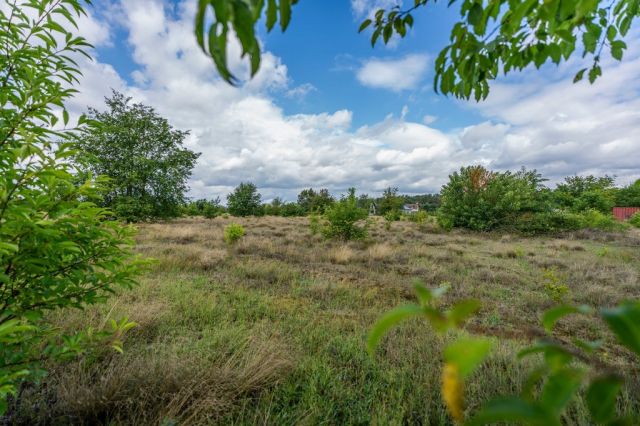 Działka Rurzyca. Zdjęcie 6