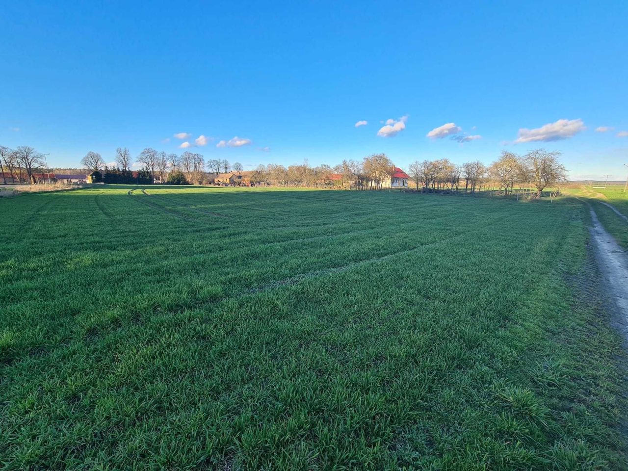 Działka rolno-budowlana Nowa Niedrzwica. Zdjęcie 6