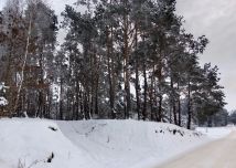 Działka rekreacyjna Bizoręda. Zdjęcie 3