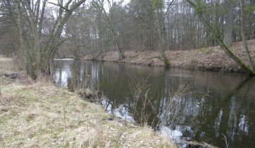 Działka siedliskowa Jaracz