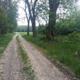 Działka budowlana Stefanów. Zdjęcie 3