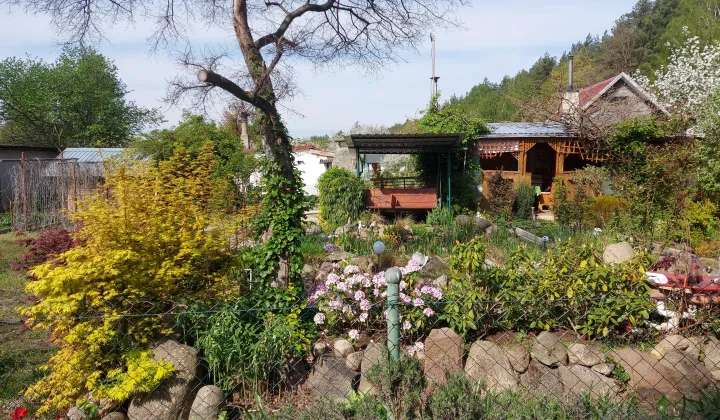 Działka rod Koźlice