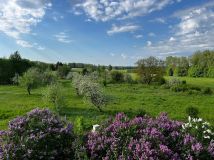 Działka rolna Podleńce. Zdjęcie 1