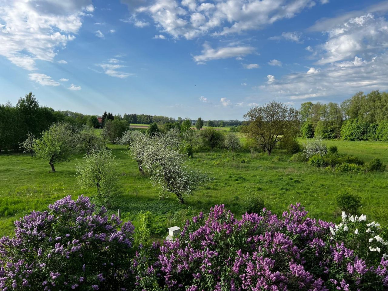 Działka rolna Podleńce. Zdjęcie 2