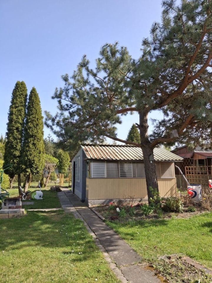 Działka rod Częstochowa Raków, ul. Korfantego