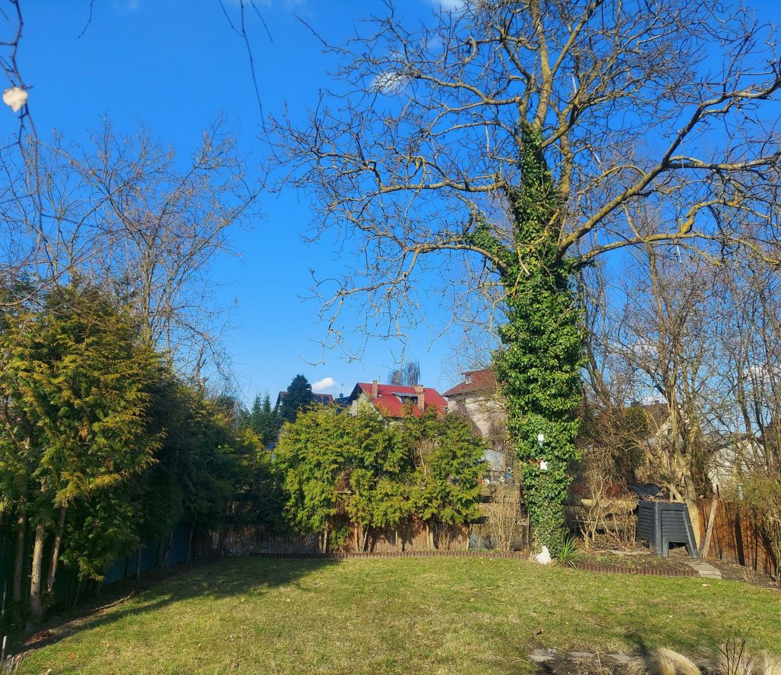 Działka rod Szczecin Gumieńce, ul. Ku Słońcu. Zdjęcie 5