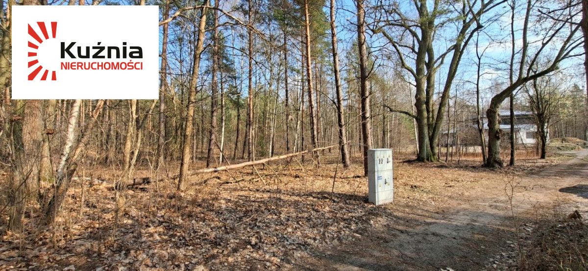 Działka leśna Warszawa Wesoła. Zdjęcie 4