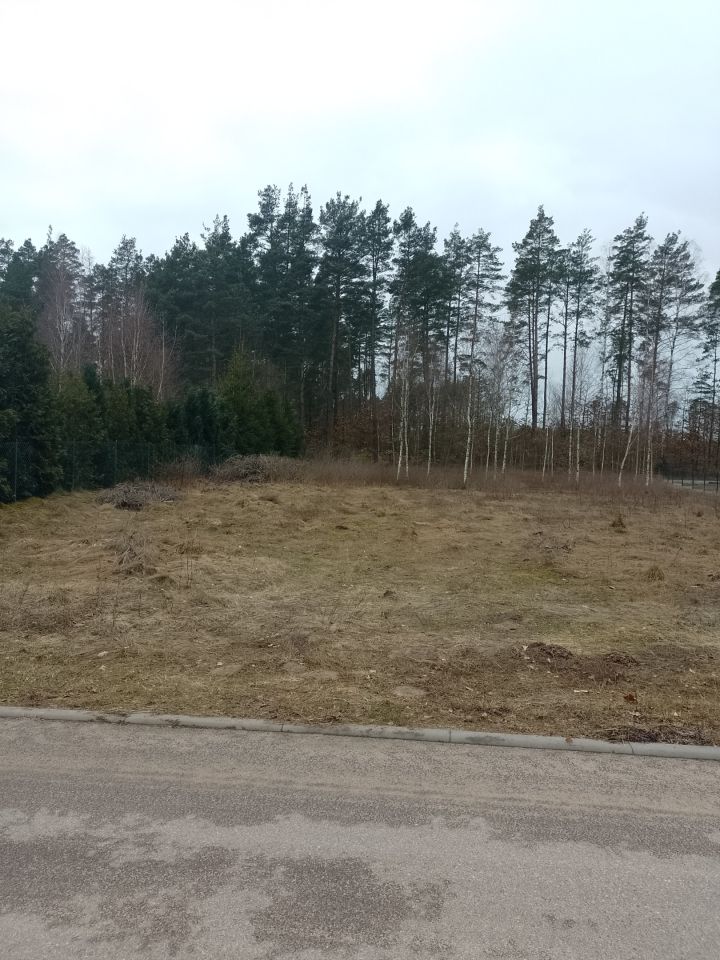 Działka budowlana Dziemiany, Kardynała Stefana Wyszyńskiego. Zdjęcie 2