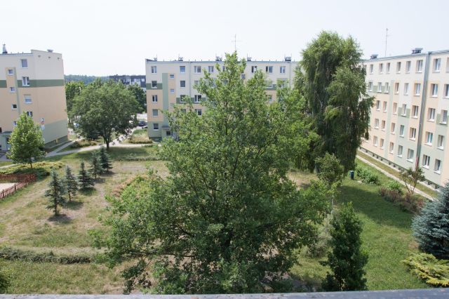 Mieszkanie 3-pokojowe Pabianice Bugaj, ul. 20 Stycznia. Zdjęcie 11