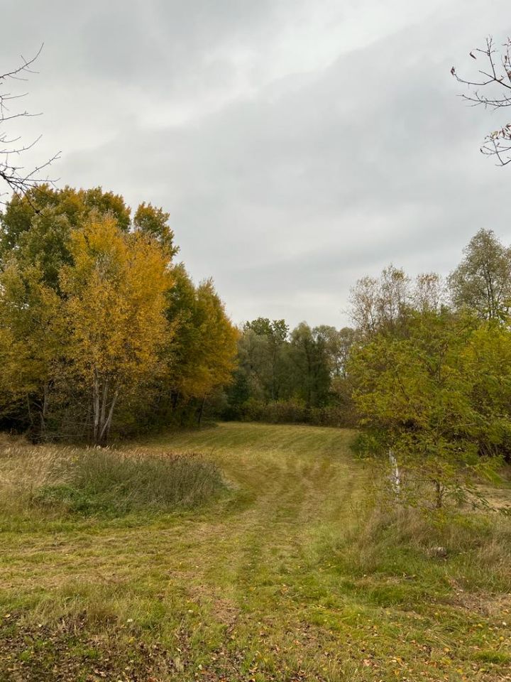 Działka rolno-budowlana Głusk. Zdjęcie 3