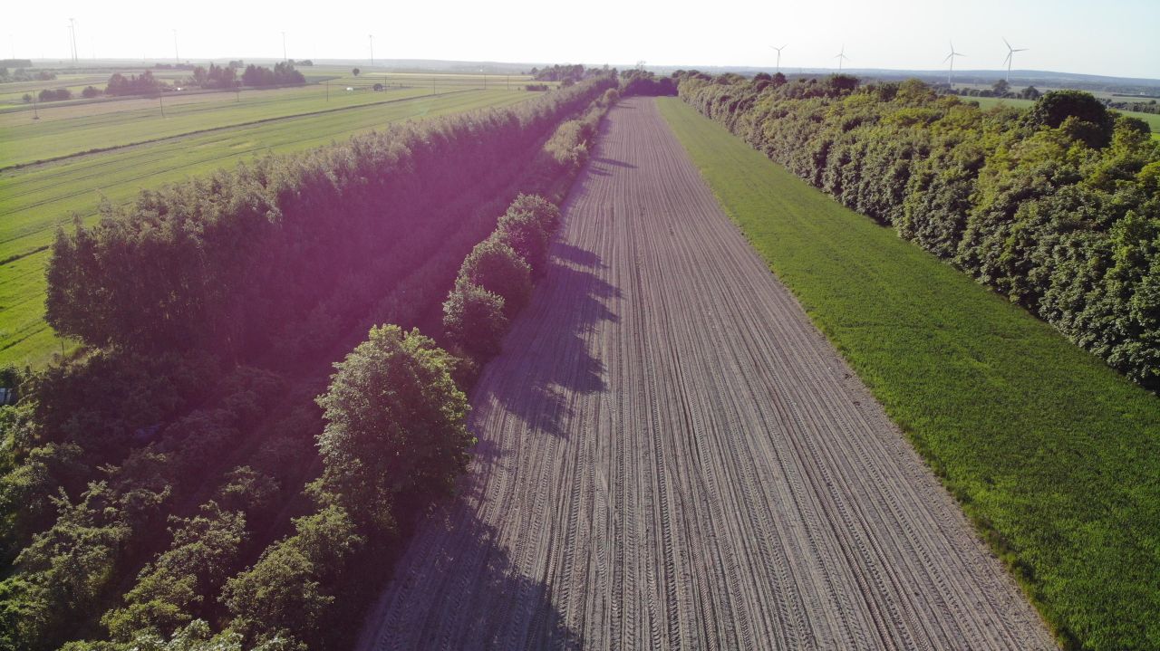 Działka rolna Iłża, ul. Batalionów Chłopskich. Zdjęcie 2