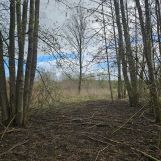 Działka rekreacyjna Głuchów. Zdjęcie 3