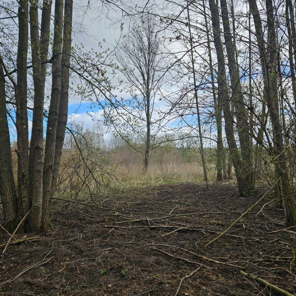 Działka rekreacyjna Głuchów. Zdjęcie 4