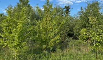 Działka rolno-budowlana Szukalice, ul. Konwaliowa
