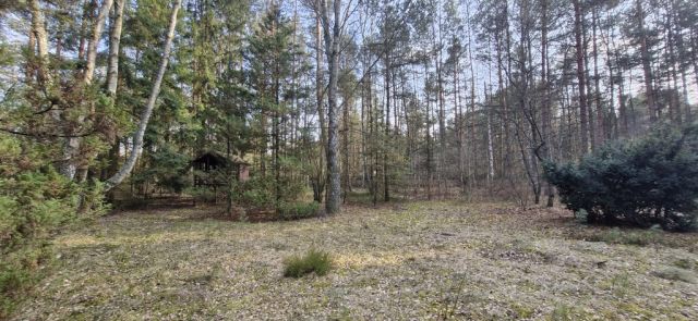 Działka rekreacyjna Malinówka. Zdjęcie 3