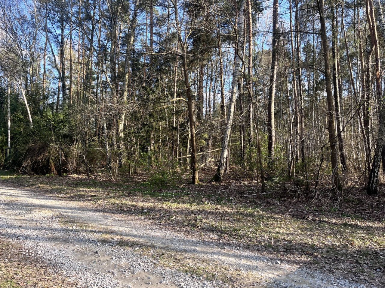 Działka budowlana Duchnów, ul. Różana. Zdjęcie 1