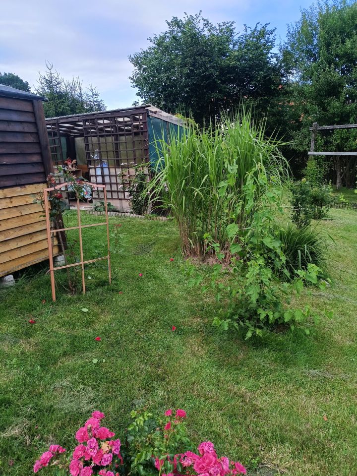 Działka rod Elbląg Dąbrowa, Krolewiecka. Zdjęcie 6