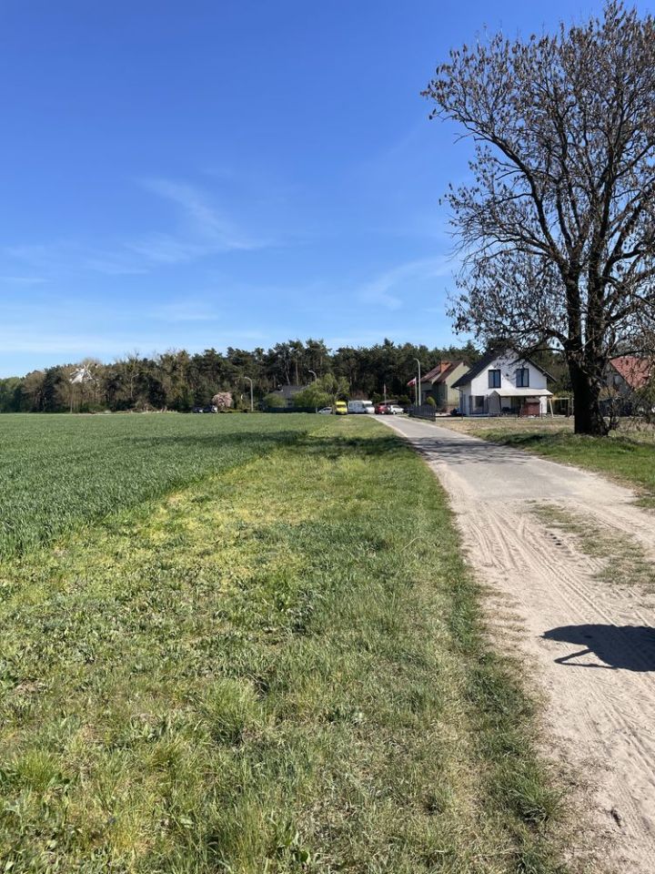 Działka budowlana Smolna. Zdjęcie 2
