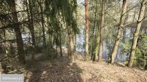 Działka rolna Drogoszowice. Zdjęcie 4
