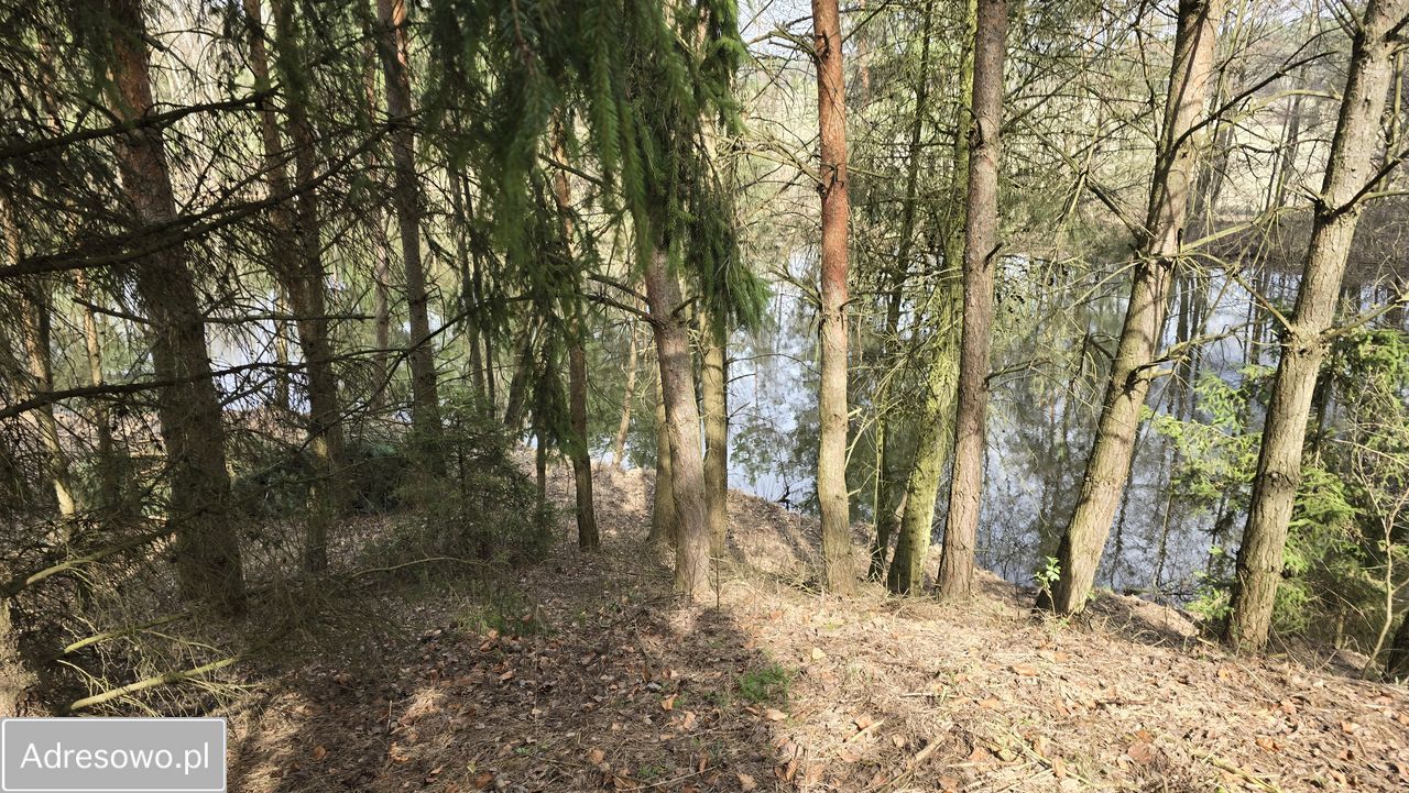 Działka rolna Drogoszowice. Zdjęcie 5