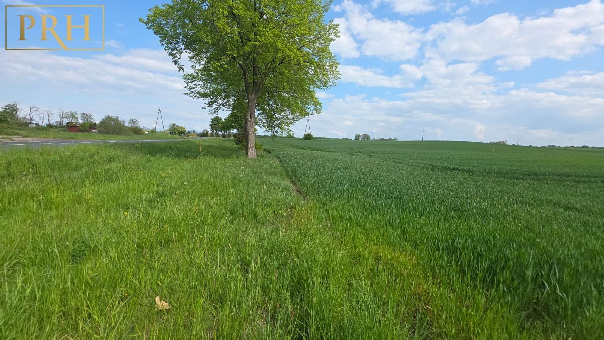 Działka budowlana Będzino. Zdjęcie 8