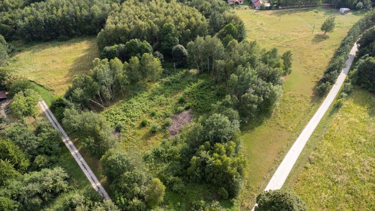 Działka rolna Nowy Borek. Zdjęcie 3