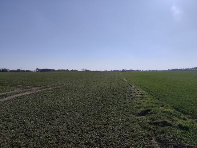 Działka rolna Jerzykowo. Zdjęcie 4
