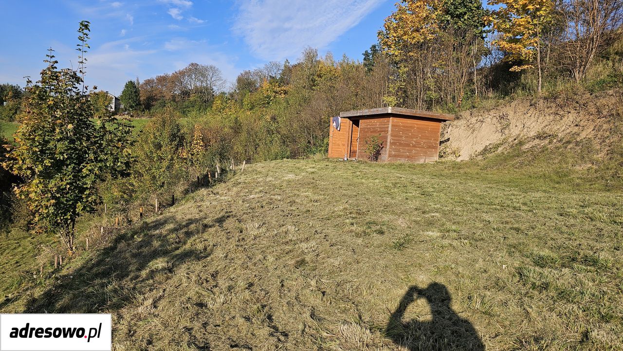 Działka Cetki. Zdjęcie 7