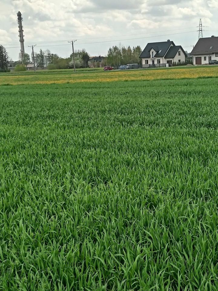 Działka inwestycyjna Bielsk Podlaski, ul. Wierzbowa. Zdjęcie 3