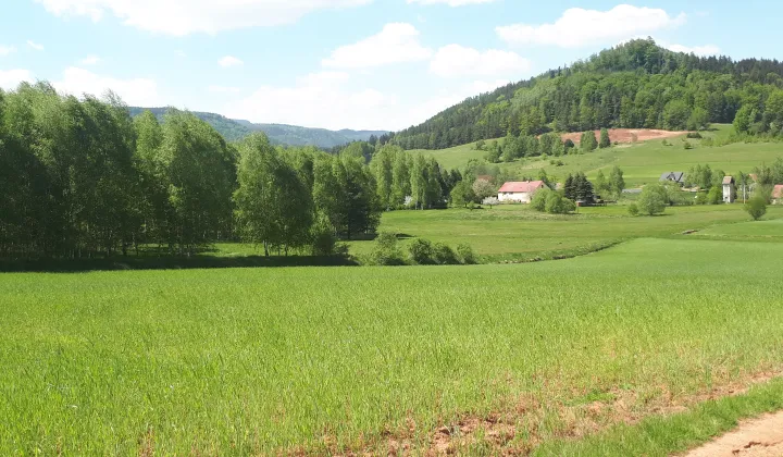 Działka budowlana Wambierzyce Górne Wambierzyce, ul. Świerkowa