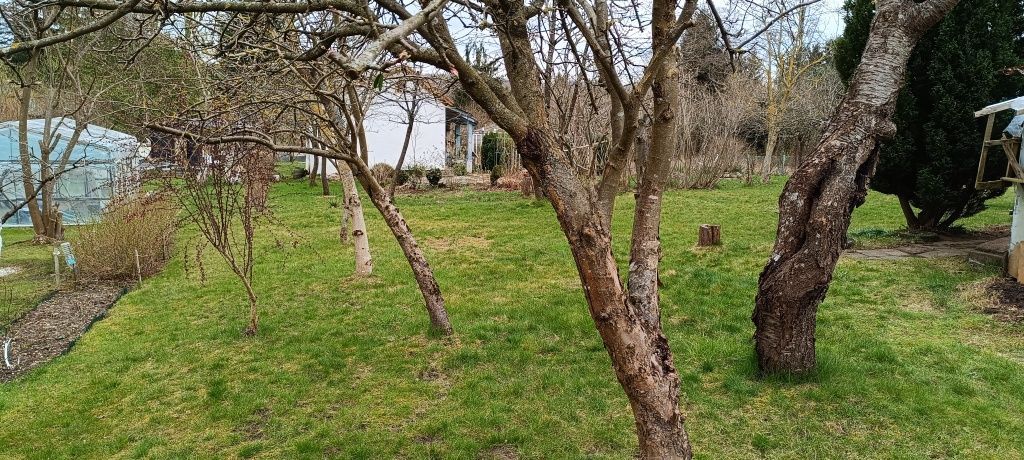 Działka rekreacyjna Elbląg, ul. Fromborska