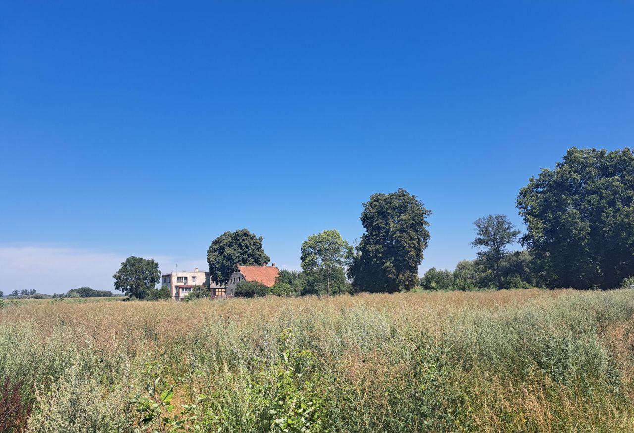 Działka rolno-budowlana Zaszczytowo. Zdjęcie 9