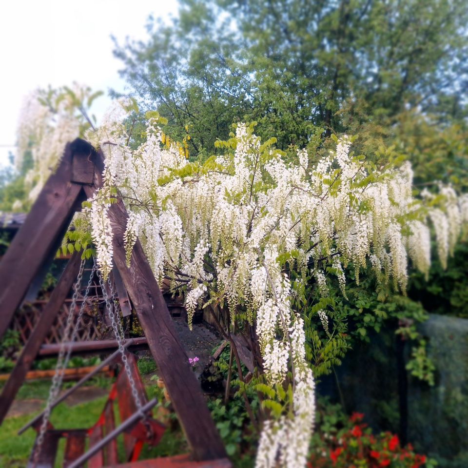 Działka rekreacyjna Sosnowiec Klimontów, ul. mjr. Henryka Hubala-Dobrzańskiego