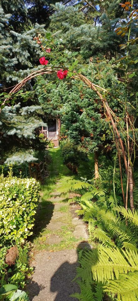 Działka rod Włocławek, ul. Kapitulna. Zdjęcie 5