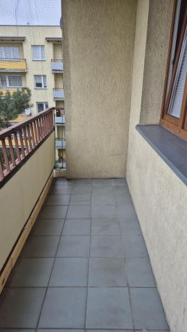 Mieszkanie 1-pokojowe Łódź Górna, ul. Rolnicza. Zdjęcie 9