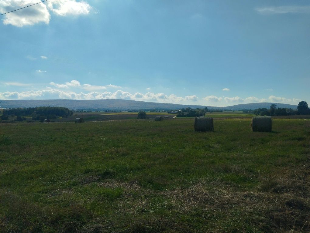 Działka rolna Grzegorzowice. Zdjęcie 3