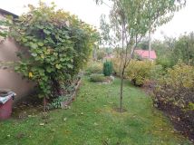 Działka rod Mokra Prawa. Zdjęcie 4