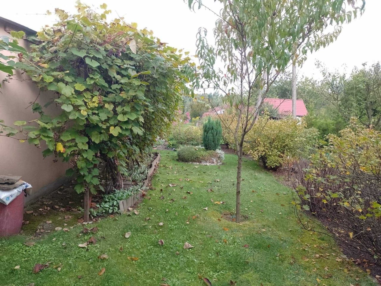 Działka rod Mokra Prawa. Zdjęcie 5