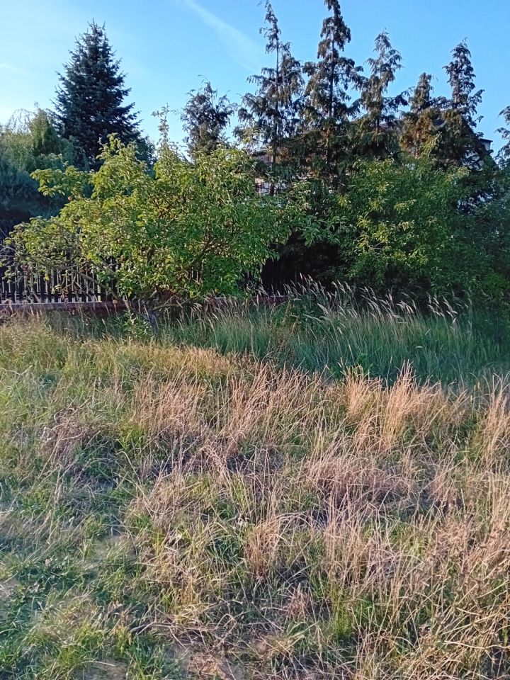 Działka rekreacyjna Woroniec. Zdjęcie 7