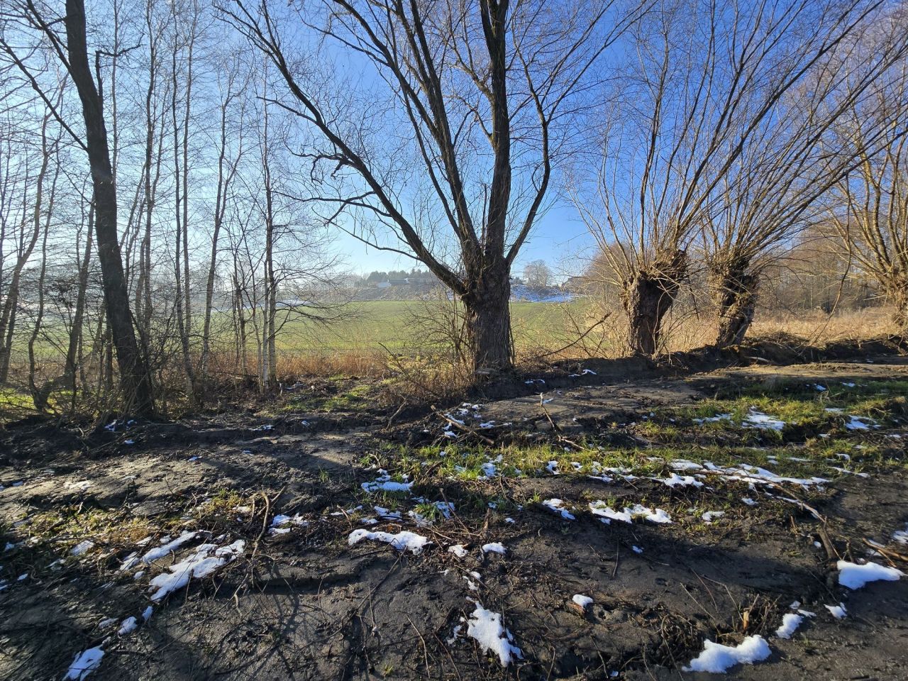 Działka budowlana Szczygłów. Zdjęcie 5