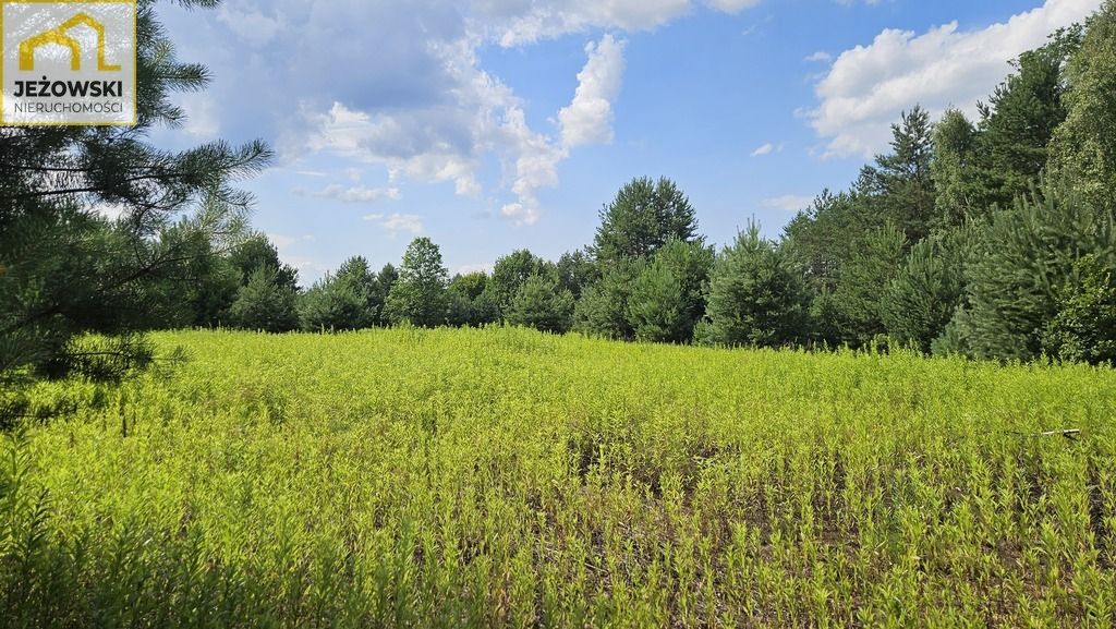 Działka budowlana Kolonia Góra Puławska. Zdjęcie 12